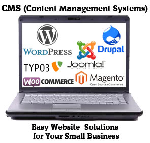 cms-for-small-business